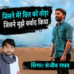 Jisne Mere Dil Ko Toda Jisne Mujhe Barbad Kiya