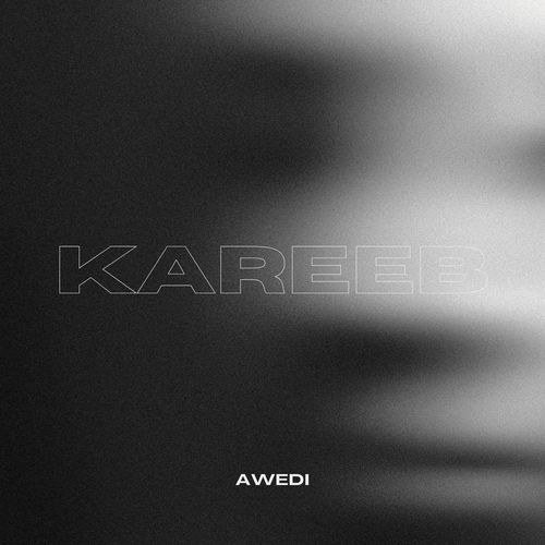 Kareeb