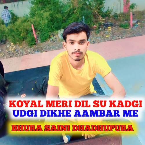 Koyal Meri Dil Su Kadgi Udgi Dikhe Aambar Me