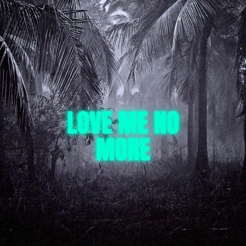 Love Me No More (feat. Frank Zozky)