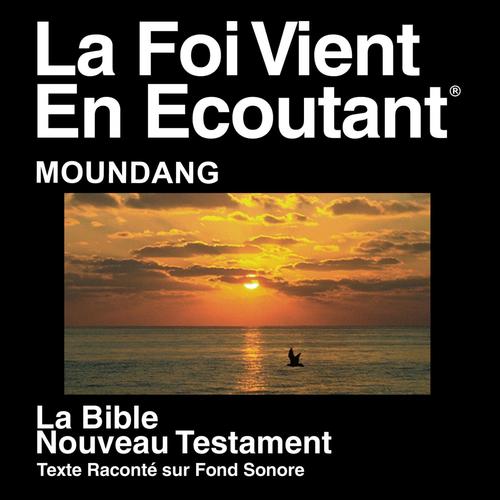 Moundang Du Nouveau Testament (Dramatisé) - Moundang Bible