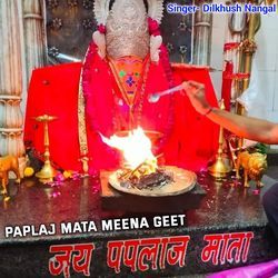 Paplaj Mata Meena Geet-MT0xeQ5CeFo