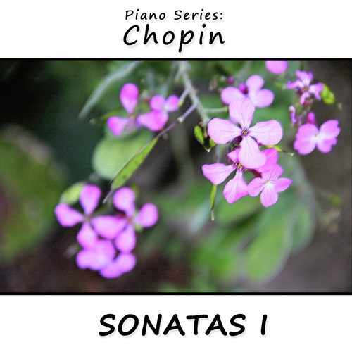 Piano Series: Chopin (Sonatas 1)