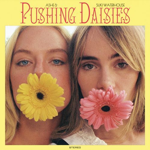 Pushing Daisies_poster_image