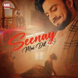 Seenay Mai Dil-JgsyayJyQWQ