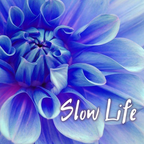 Slow Life - Gentle and Soothing Sounds and Music to Sleep Deeply Every Night