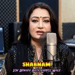 Sok Bewafa Rata Yadegi Wale