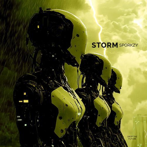 Storm cover art