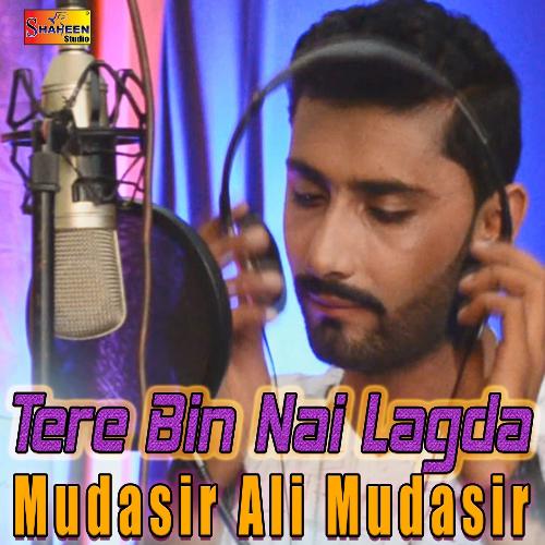 Tere Bin Nai Lagda_poster_image