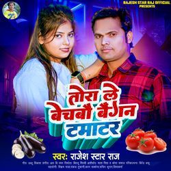 Tora Le Bechabau Baingan Tamatar