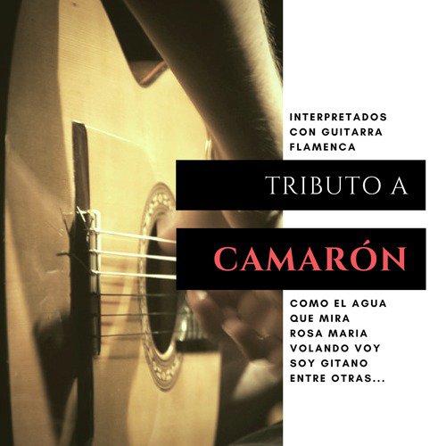 Tributo a Camarón