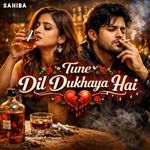 Tune Dil Dukhaya Hai