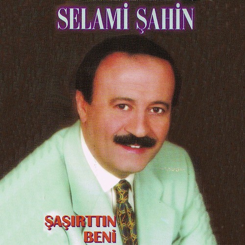 Telesekreter cover art