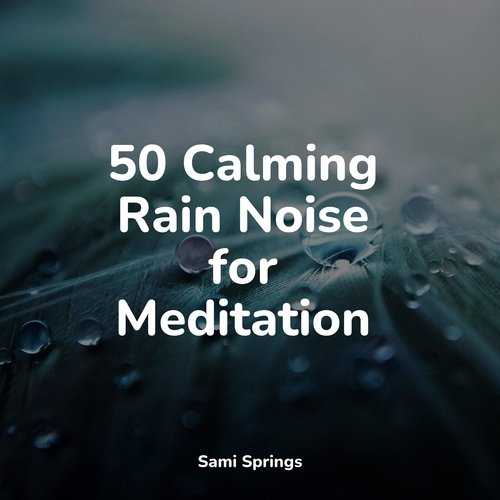 50 Calming Rain Noise for Meditation_poster_image