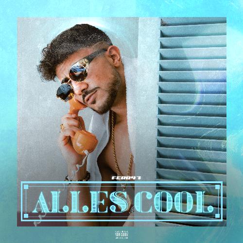 Alles Cool_poster_image