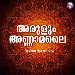 Arulum Annamalai
