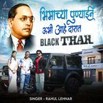 Bhimachya Punyaine Ubhi Aahe  Darat Black Thar