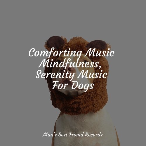 Comforting Music Mindfulness, Serenity Music For Dogs