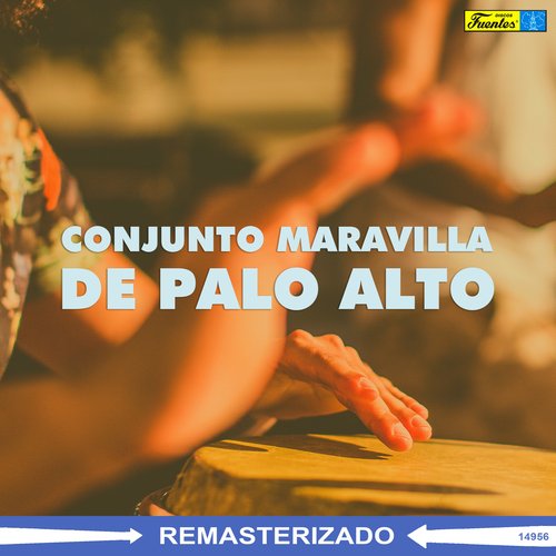 Palo Alto cover art