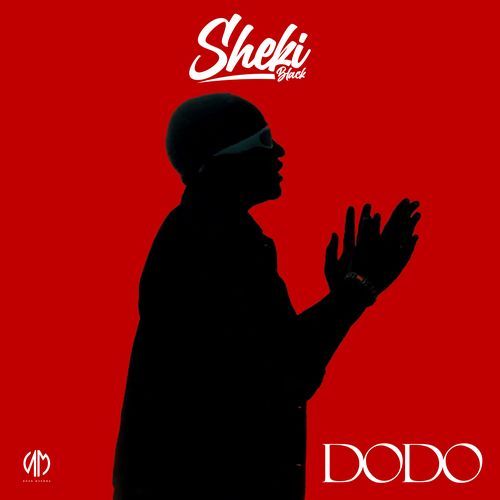 Dodo cover art