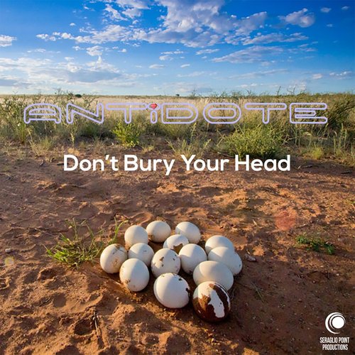 Don't Bury Your Head