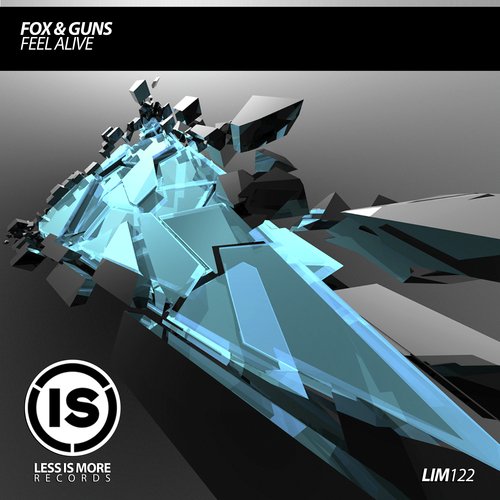 Feel Alive (DJ The Fox & DJ Guns Sub Mix) cover art