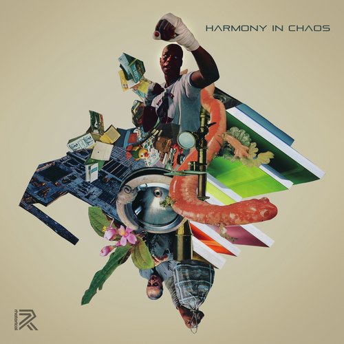 Harmony In Chaos