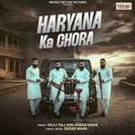 Haryana Ka Chora