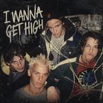 I Wanna Get High