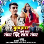 Juvanay Lage Ek Numbar Dide Tara Number