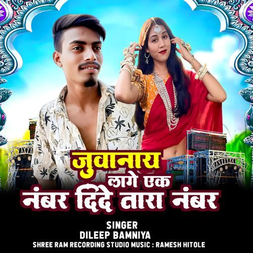 Juvanay Lage Ek Numbar Dide Tara Number