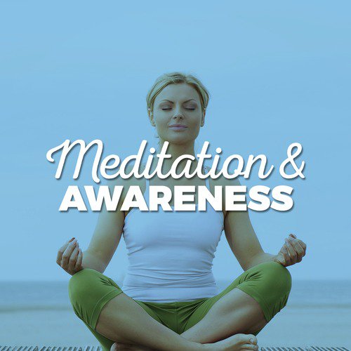 Meditation & Awareness