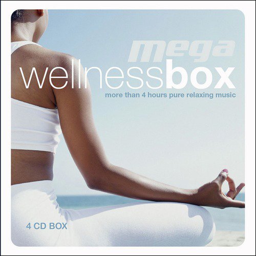 Mega Wellness Box_poster_image