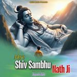 Mere Shiv Sambhu Nath Ji