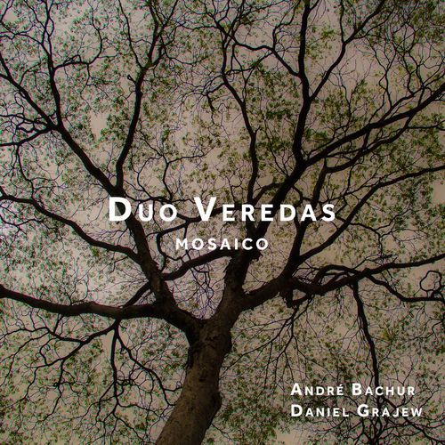 Choro de Boi de São João cover art