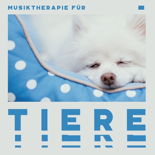 Entspannungsmusik cover art