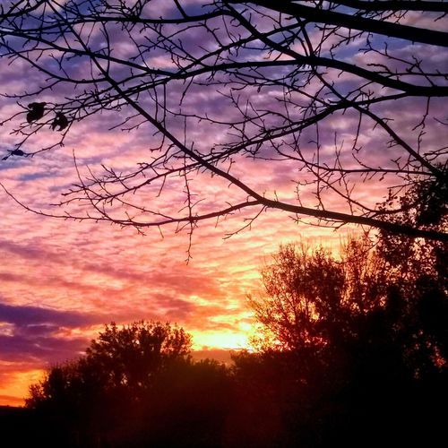 Everyone's Everywhere