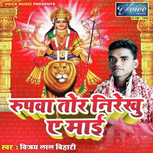 Vijay Lal Bihari