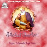 Simar Mana Tu Sacha Soyeah artwork