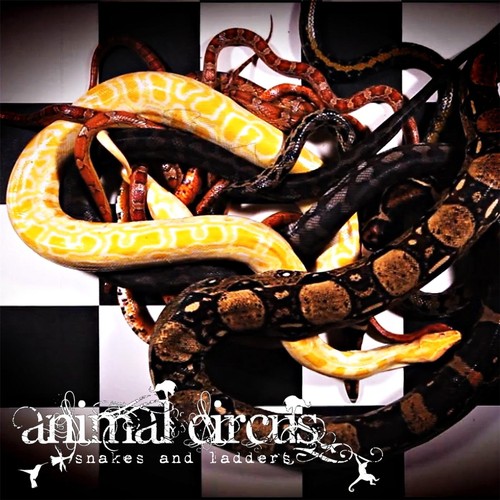 Snakes And Ladders Lyrics Animal Circus Only on JioSaavn