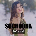 Sochoona