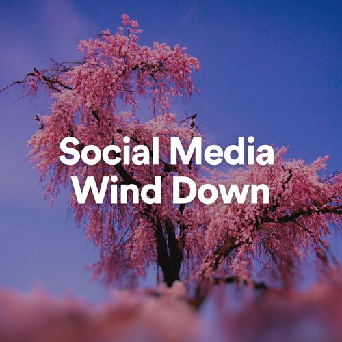 Social Media Wind Down