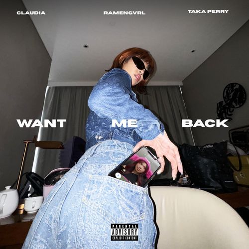 Want Me Back_poster_image