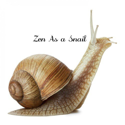 Zen As A Snail (Slow Relaxing Music)