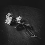 ek khoya khoya chand tha, jo tha khafa khafa