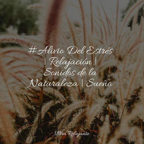 Serenidad cover art