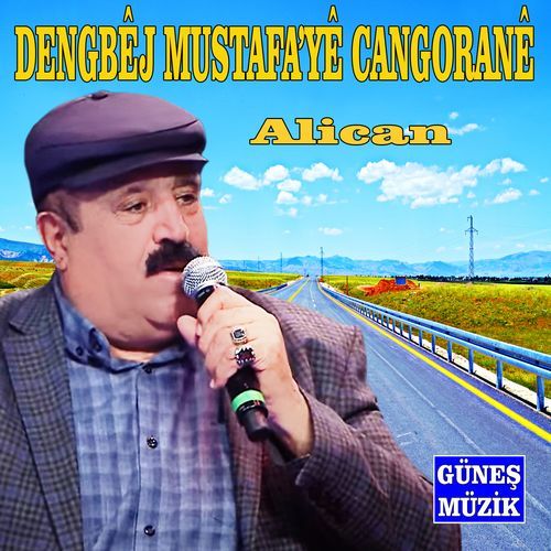 Alican cover art