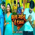 Bhula Gailu A Jaan