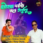 Dhokha Daike Chal Gailu