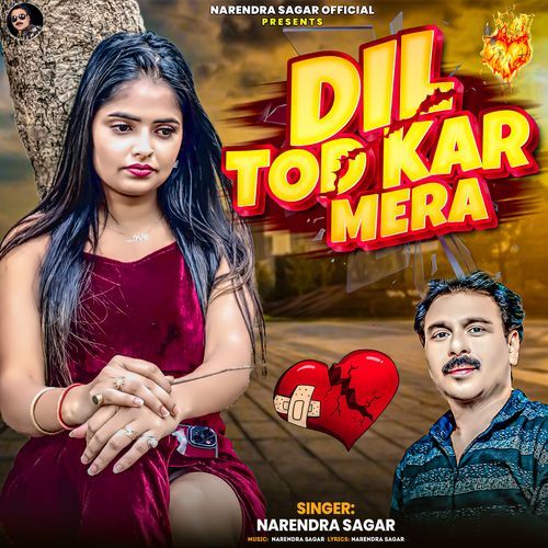 Dil Tod Kar Mera